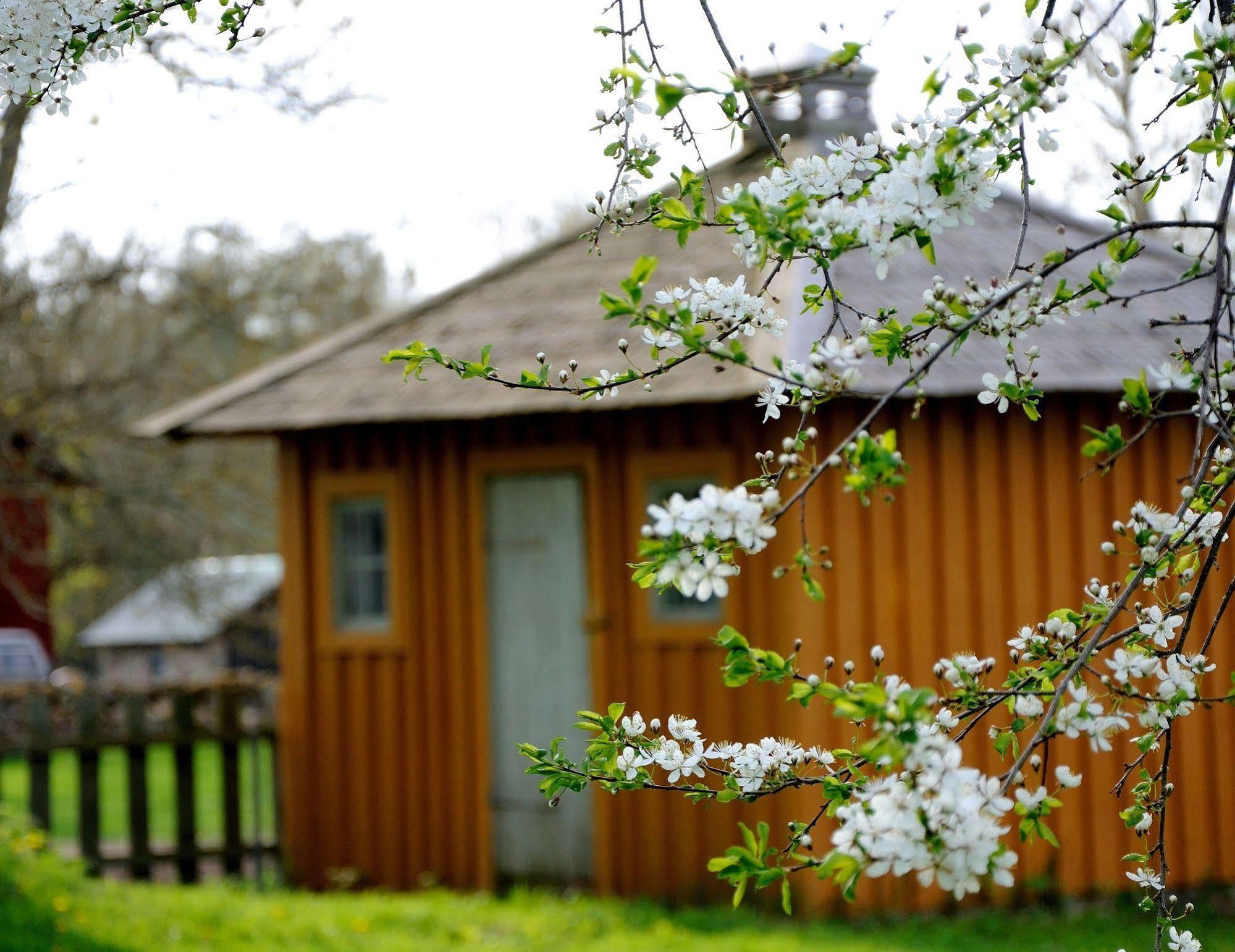 Naestegarden Bed & Breakfast Satuna Exterior photo